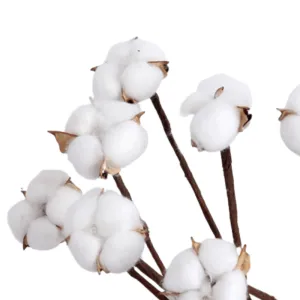 10 Piece Cotton Flower Decorative - Artificial Soft Touch