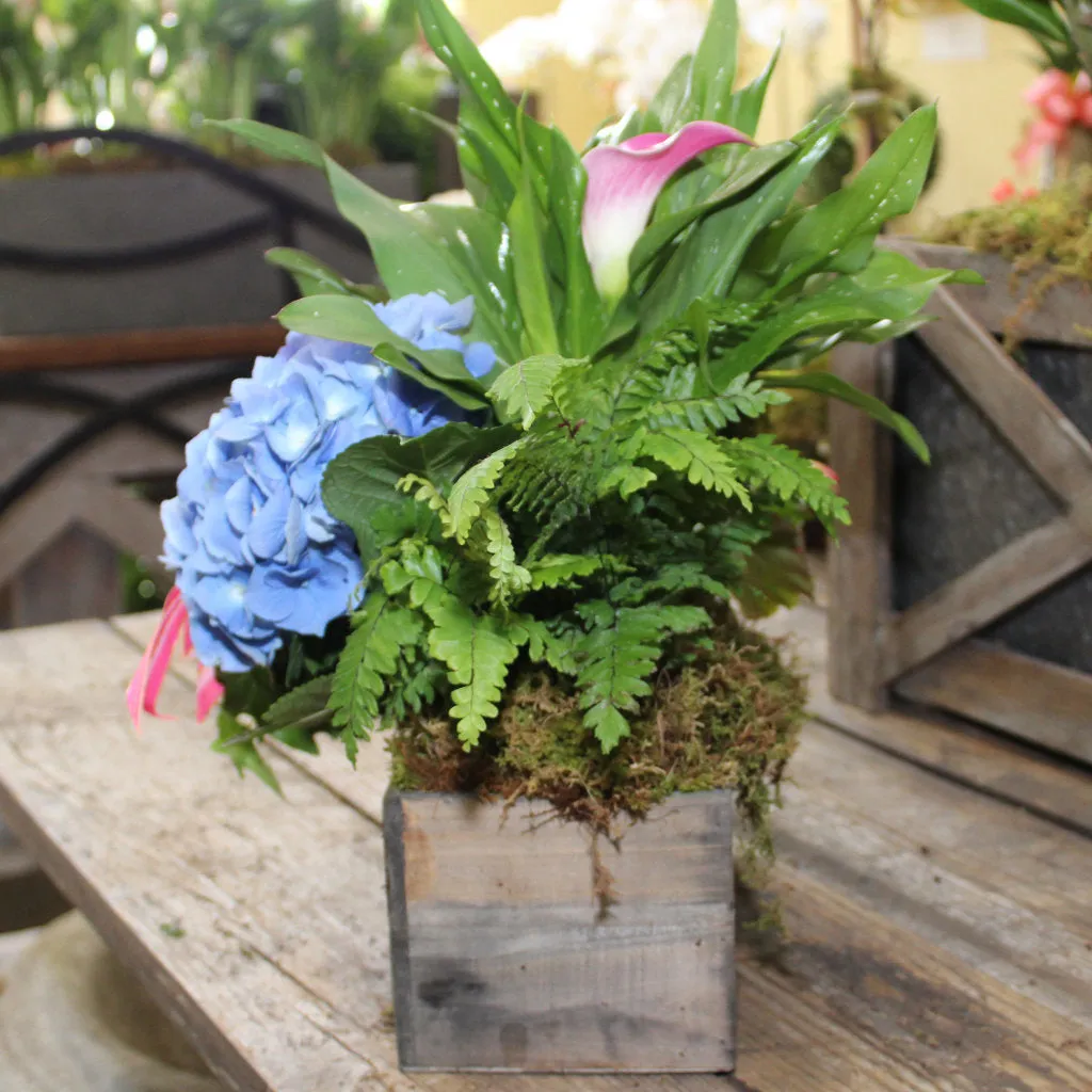 $125 Living Arrangement Flower Basket with Bow