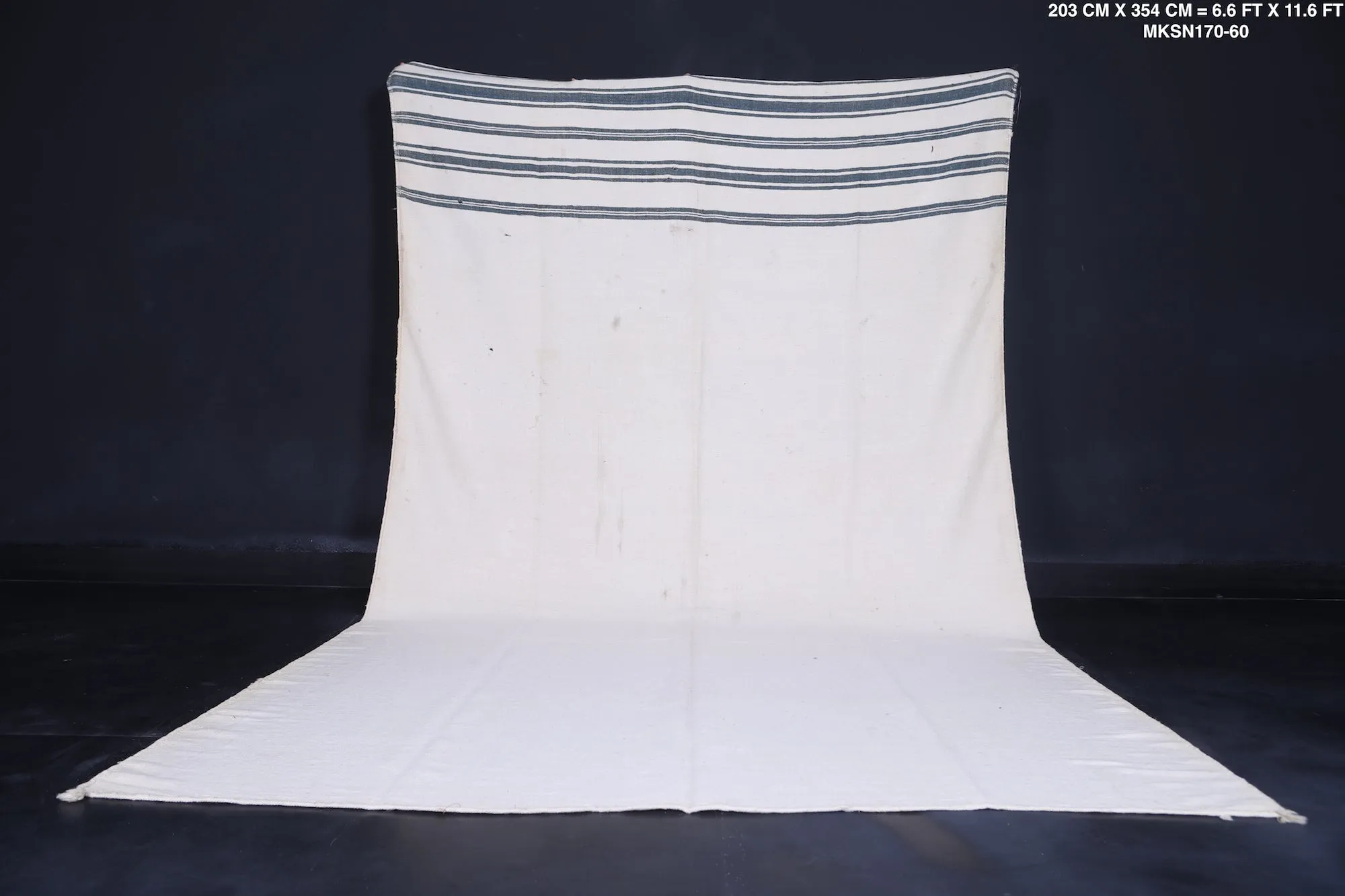Authentic Vintage Berber Moroccan Handwoven Kilim – 6.6 FT x 11.6 FT