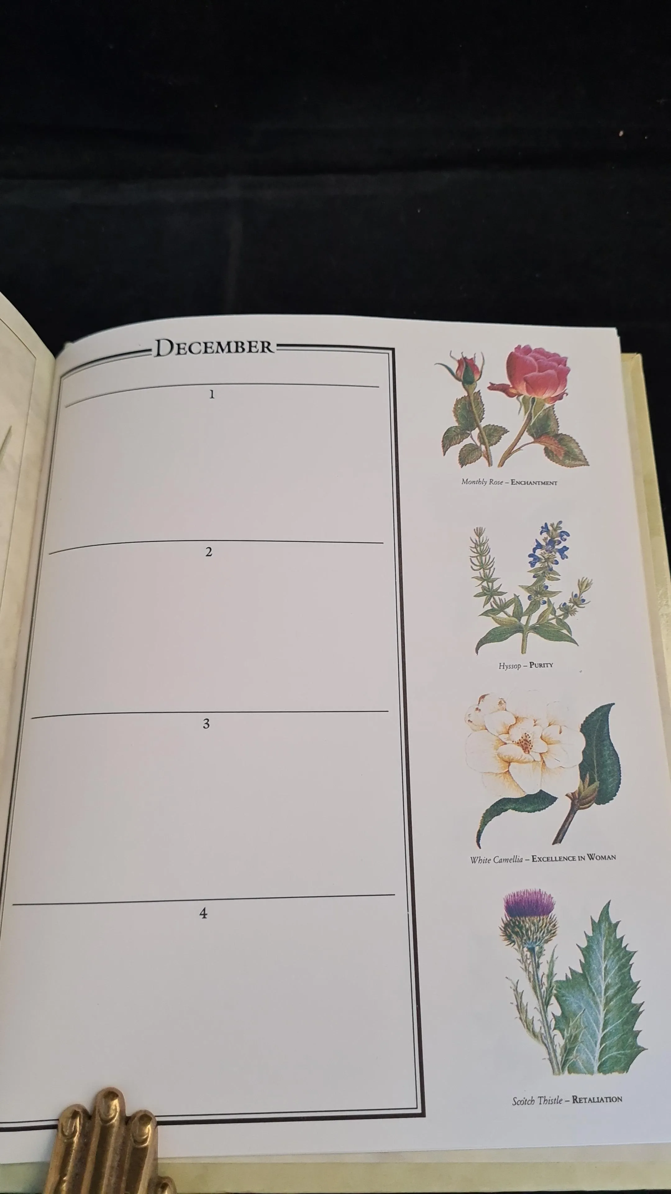 Bernard F Carter - The Floral Day Book, Bloomsbury Books, 1994