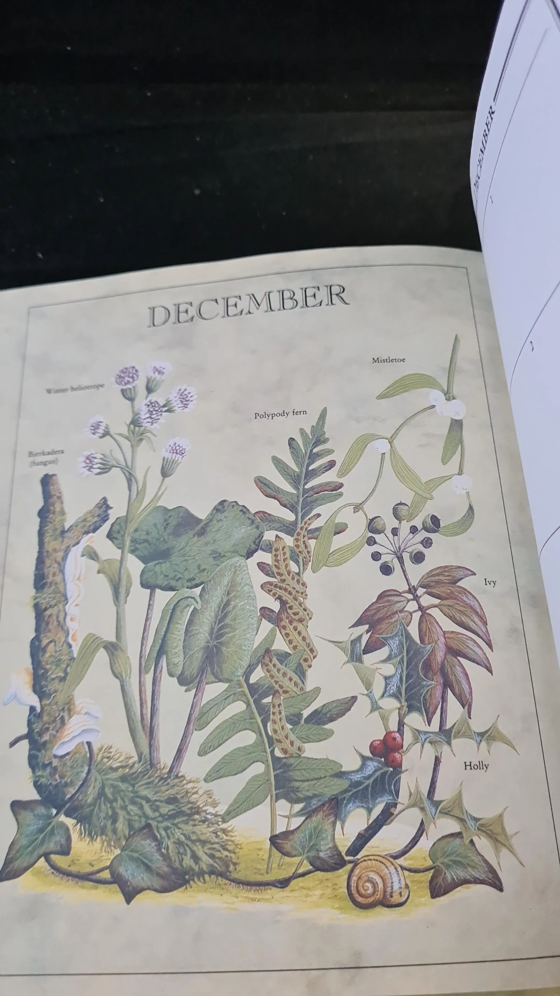 Bernard F Carter - The Floral Day Book, Bloomsbury Books, 1994