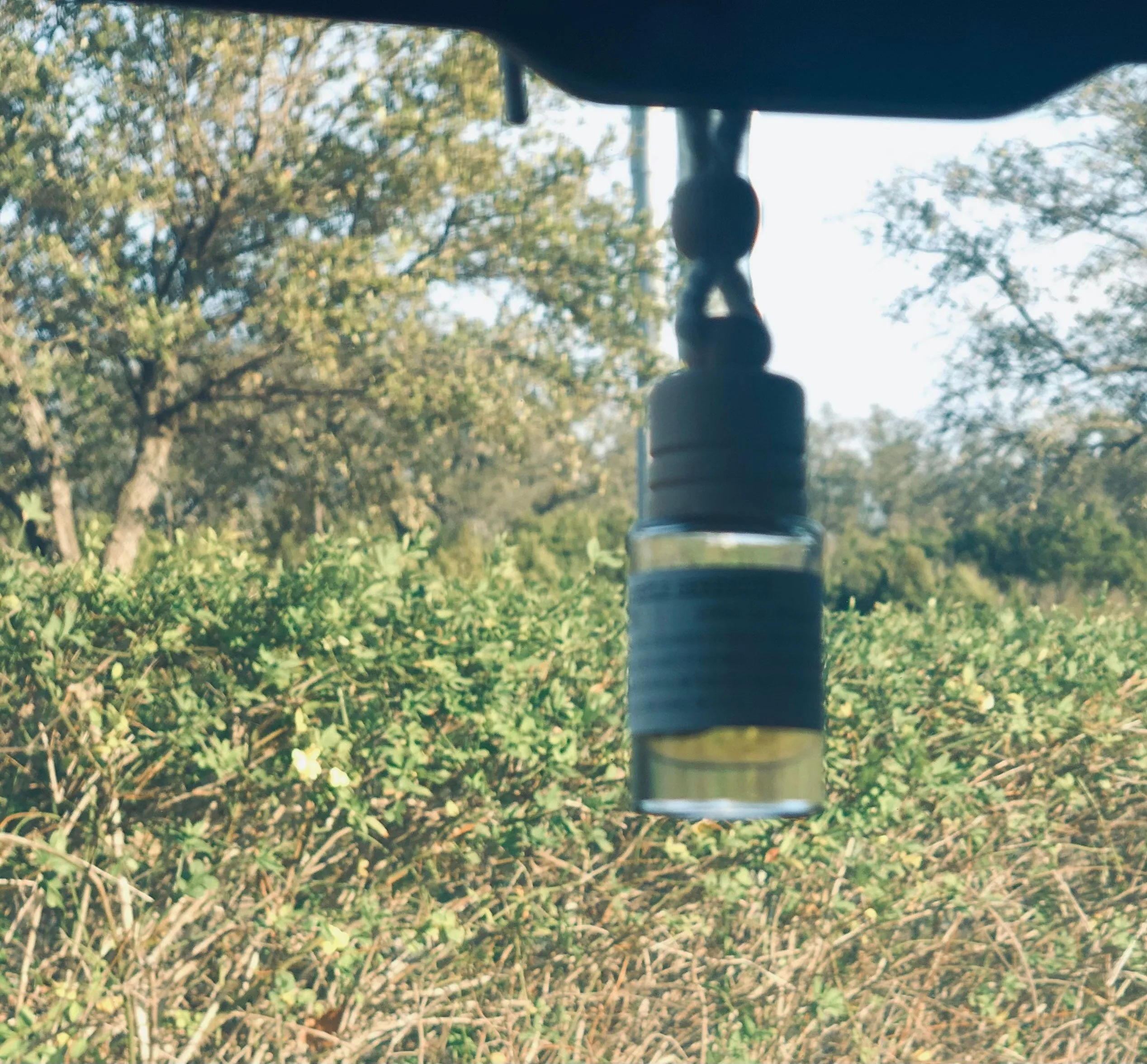 Car Fresheners | SEASONAL