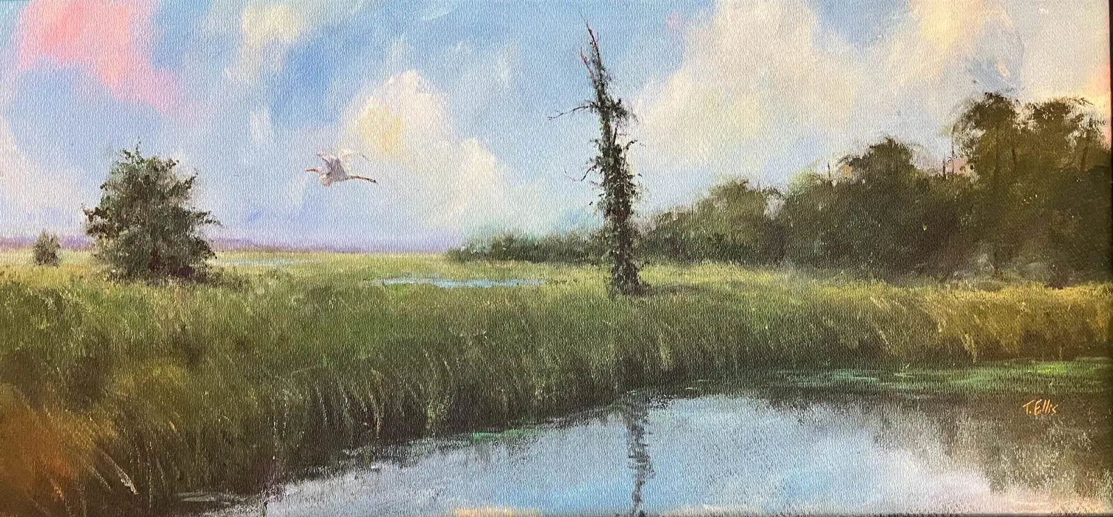 Ellis, Ted, (Southern Paradise)