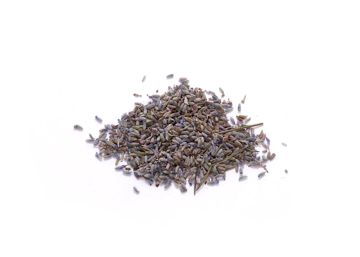 Lavender Flowers