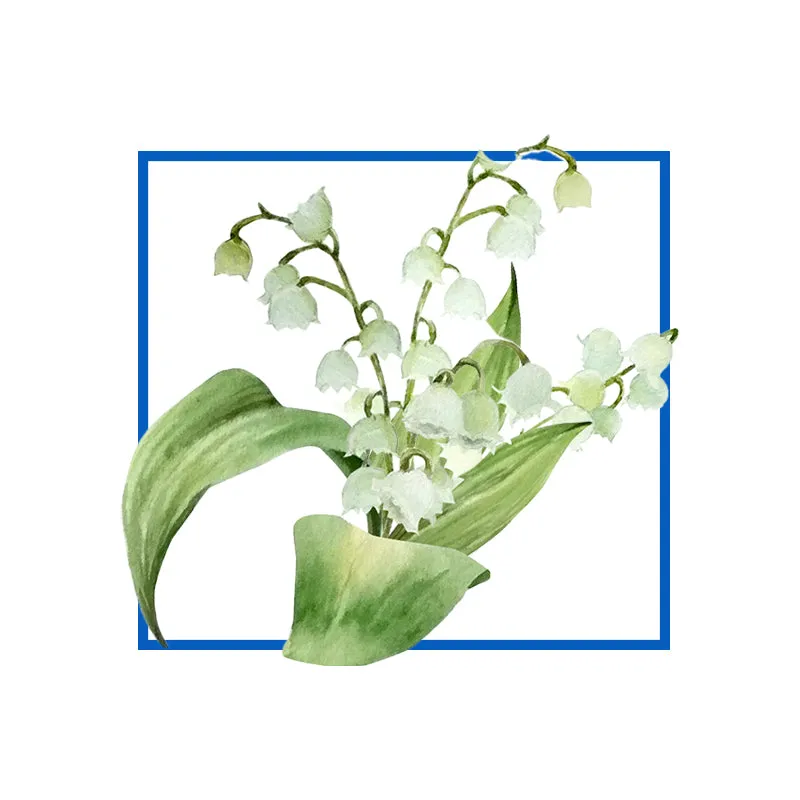 Lily of the valley Natural Fragrance Oil
