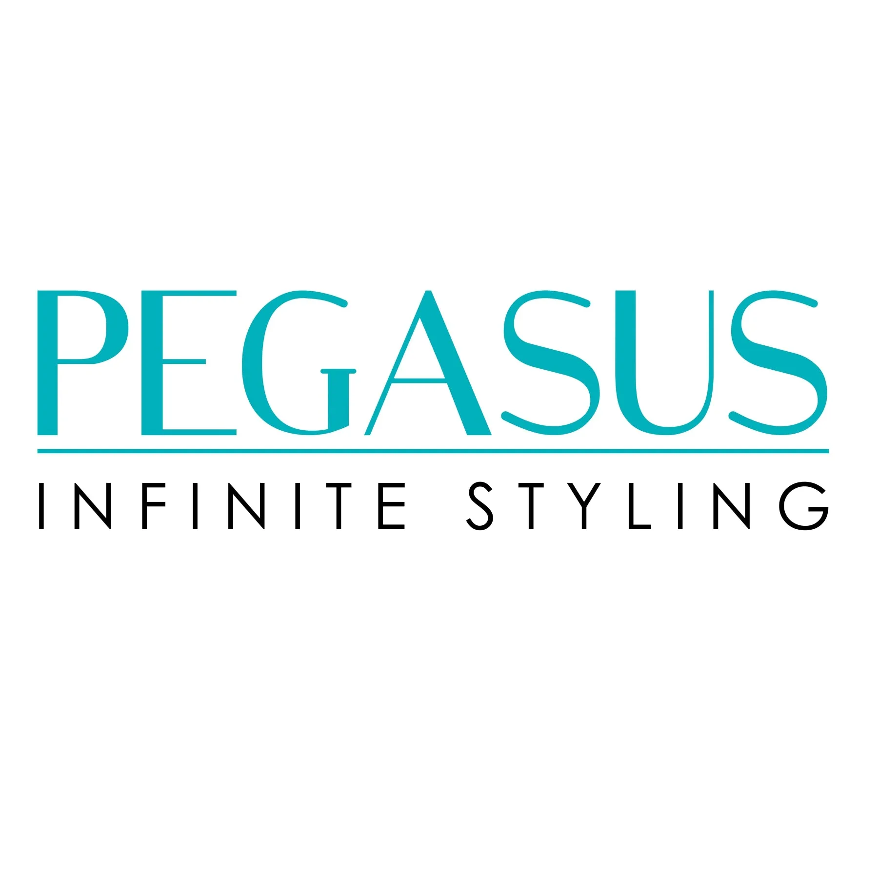 Pegasus 507_b2, 6.5in Curved Detangling Handled Styling Rake Comb, Seamless, Smooth Edges, Anti Static, Heat and Chemically Resistant, Wet Hair, Everyday Grooming Comb | Peines de goma dura - Black