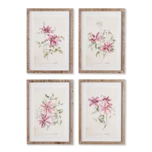 Pink Clematis Prints, Set Of 4