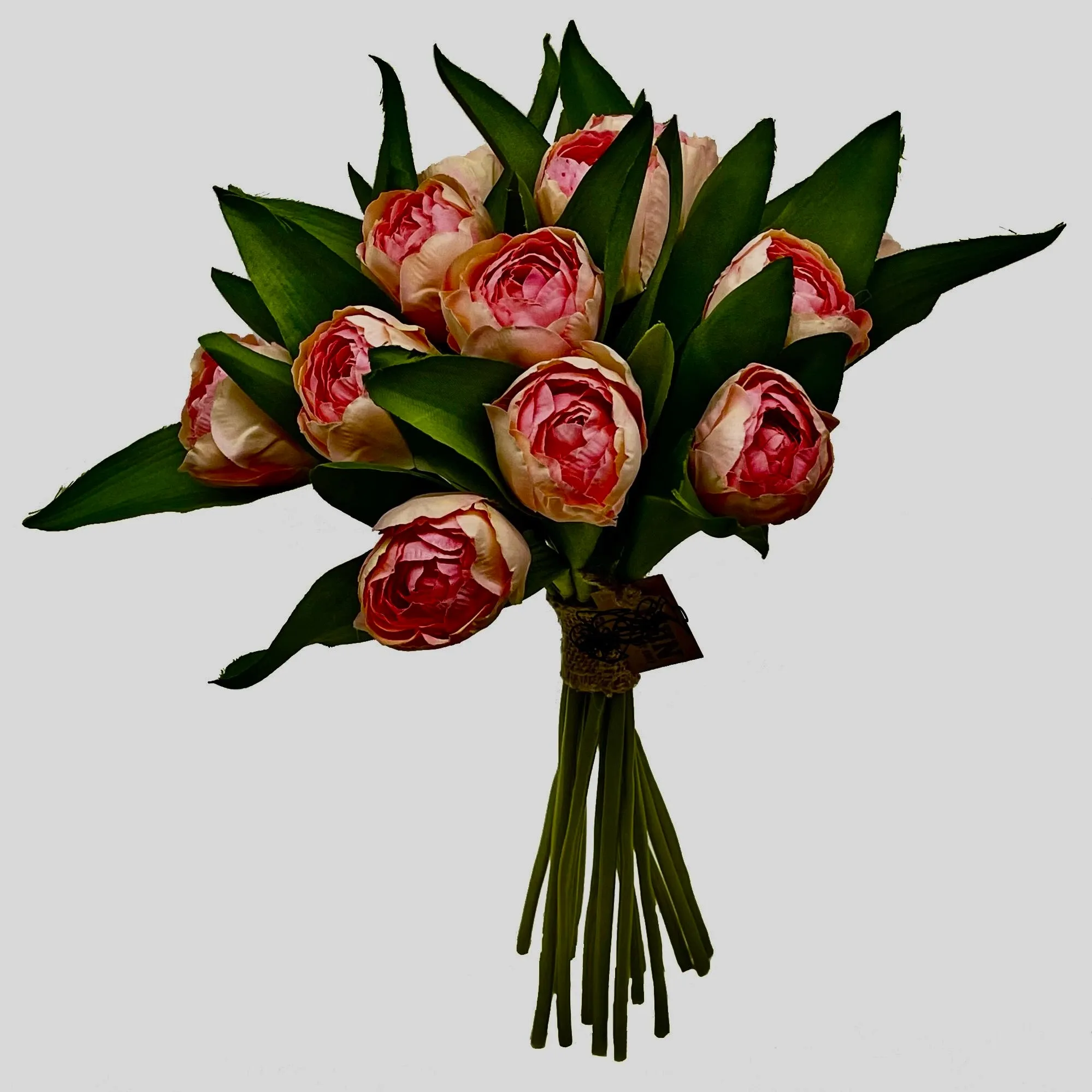 Pink Tulip Bundle