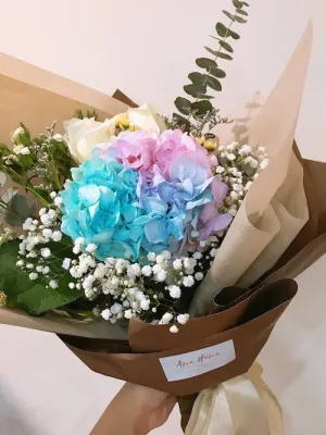 Rainbow Hydrangea