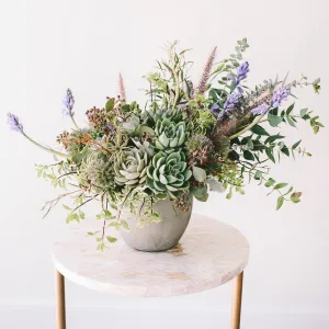 Regular Succulent Shebang