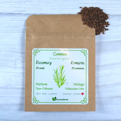 Rosemary Seeds