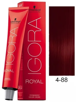 Schwarzkopf Professional Igora Royal Permanent Color Creme (4-88 Medium Brown Red)