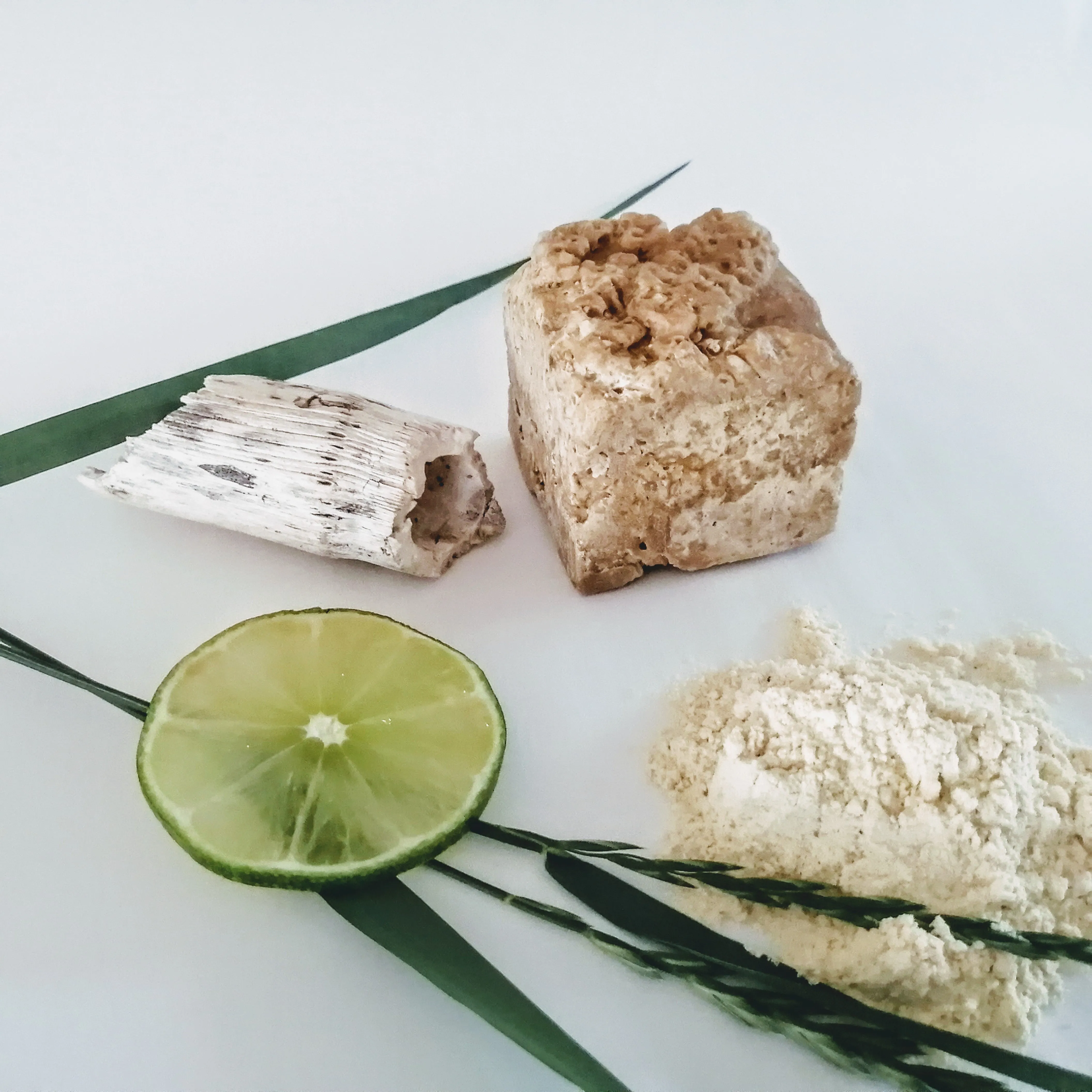 Shampooing solide - bois et citron shampoo bar
