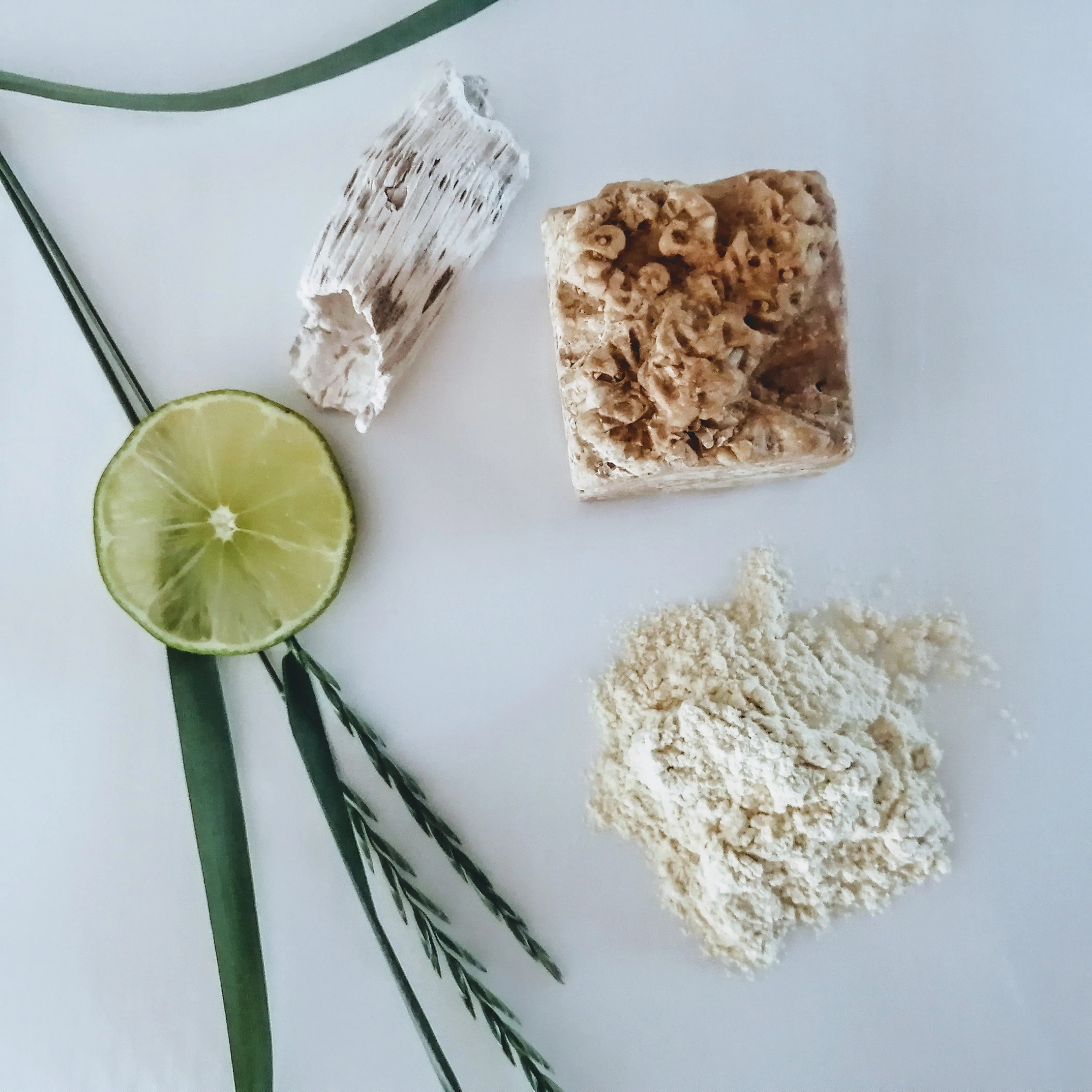 Shampooing solide - bois et citron shampoo bar
