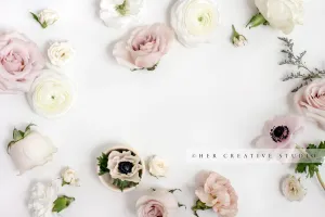 Soft, Pretty Flowers on a White Background, Stock Image