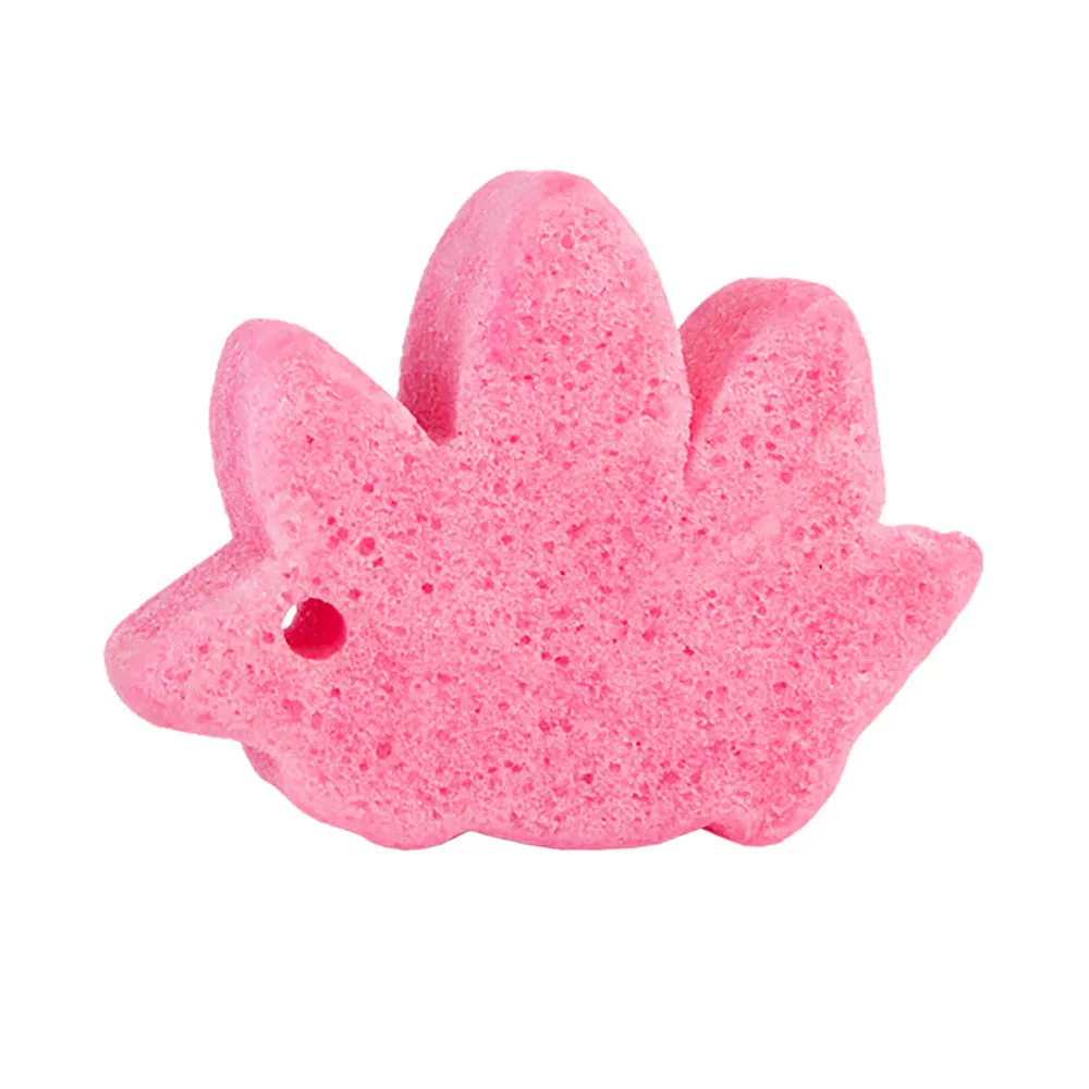 Sponge Animals Spongeasaurus Collection