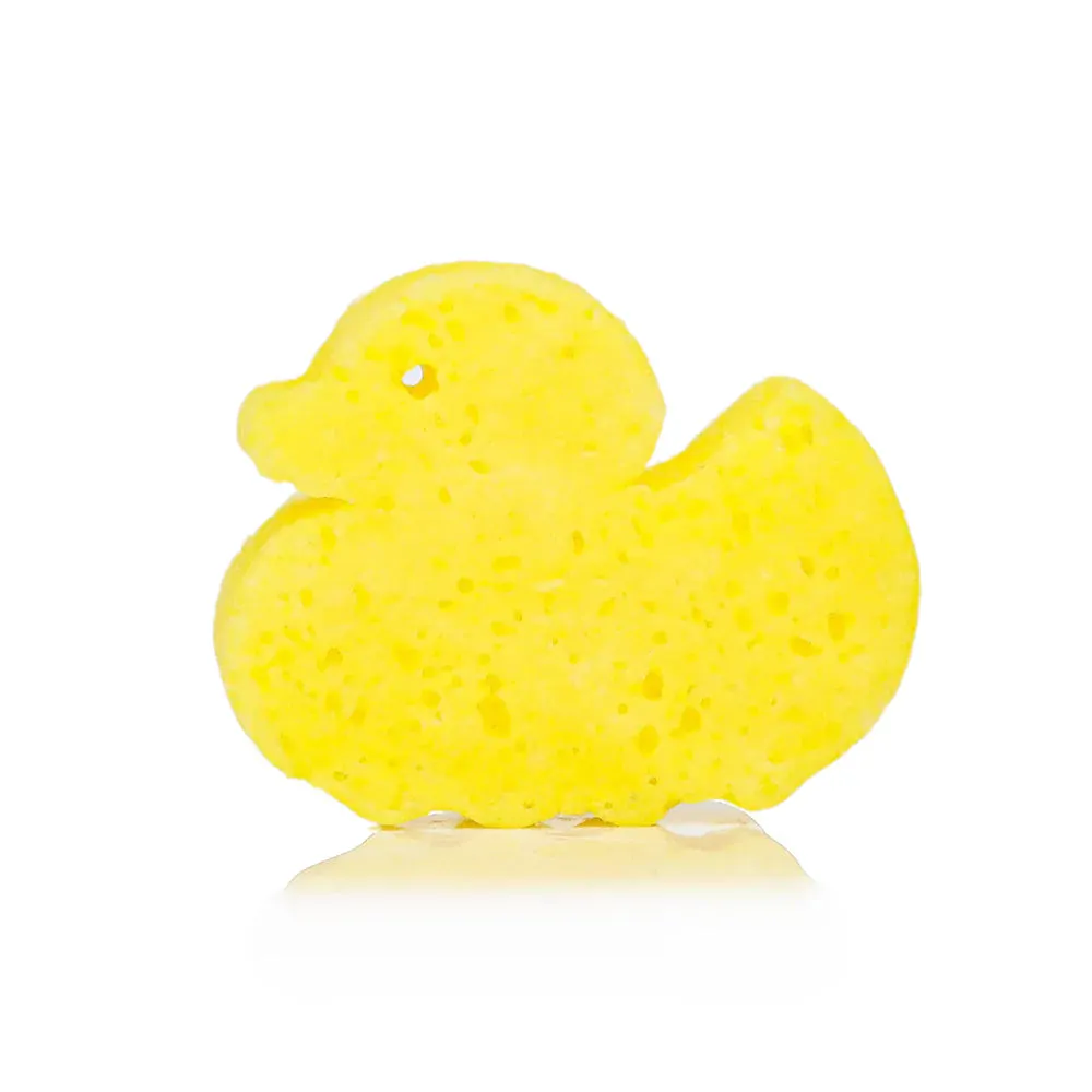 Sponge Farm Animals