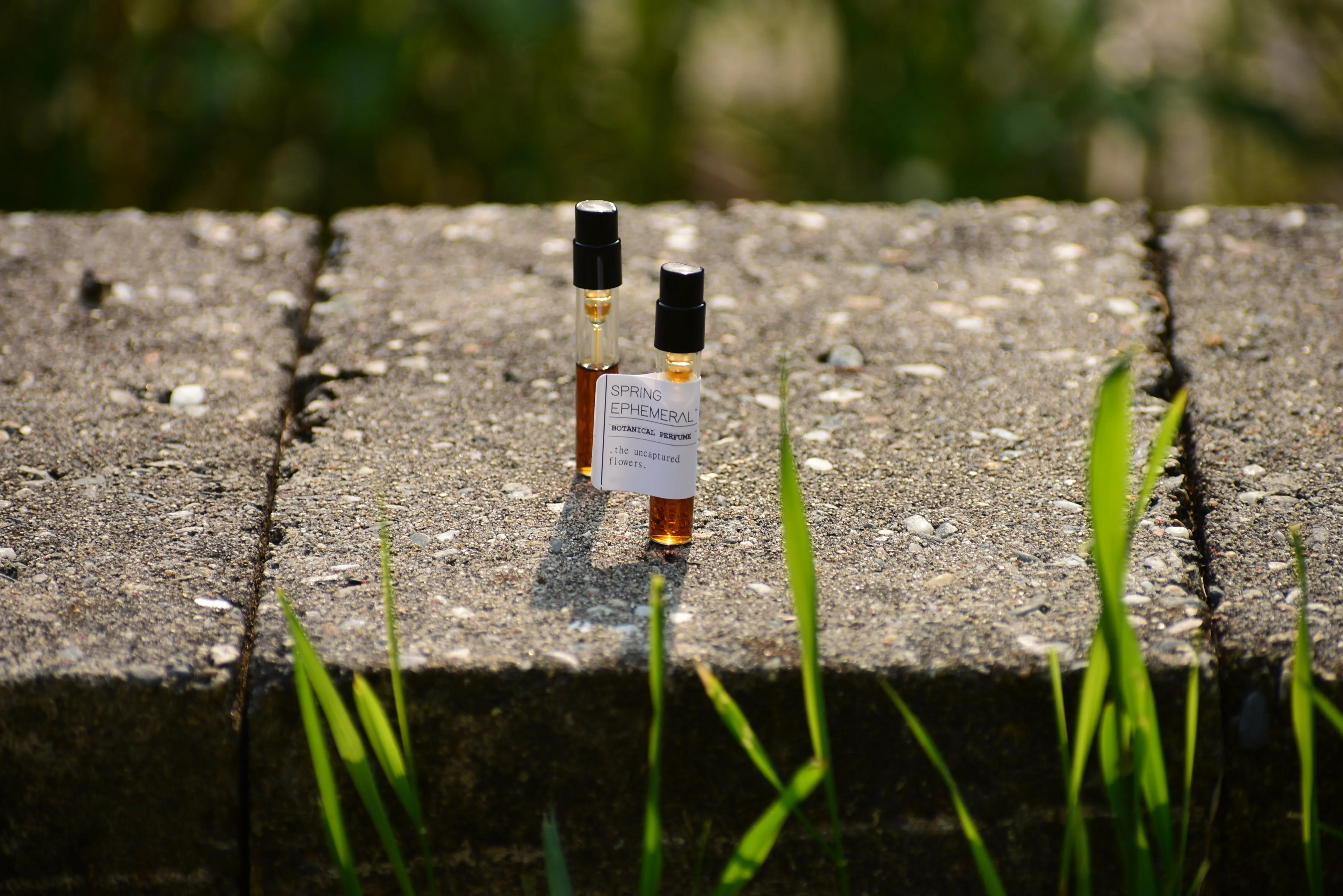 SPRING EPHEMERAL - The Uncaptured Flowers - Natural Botanical Perfume