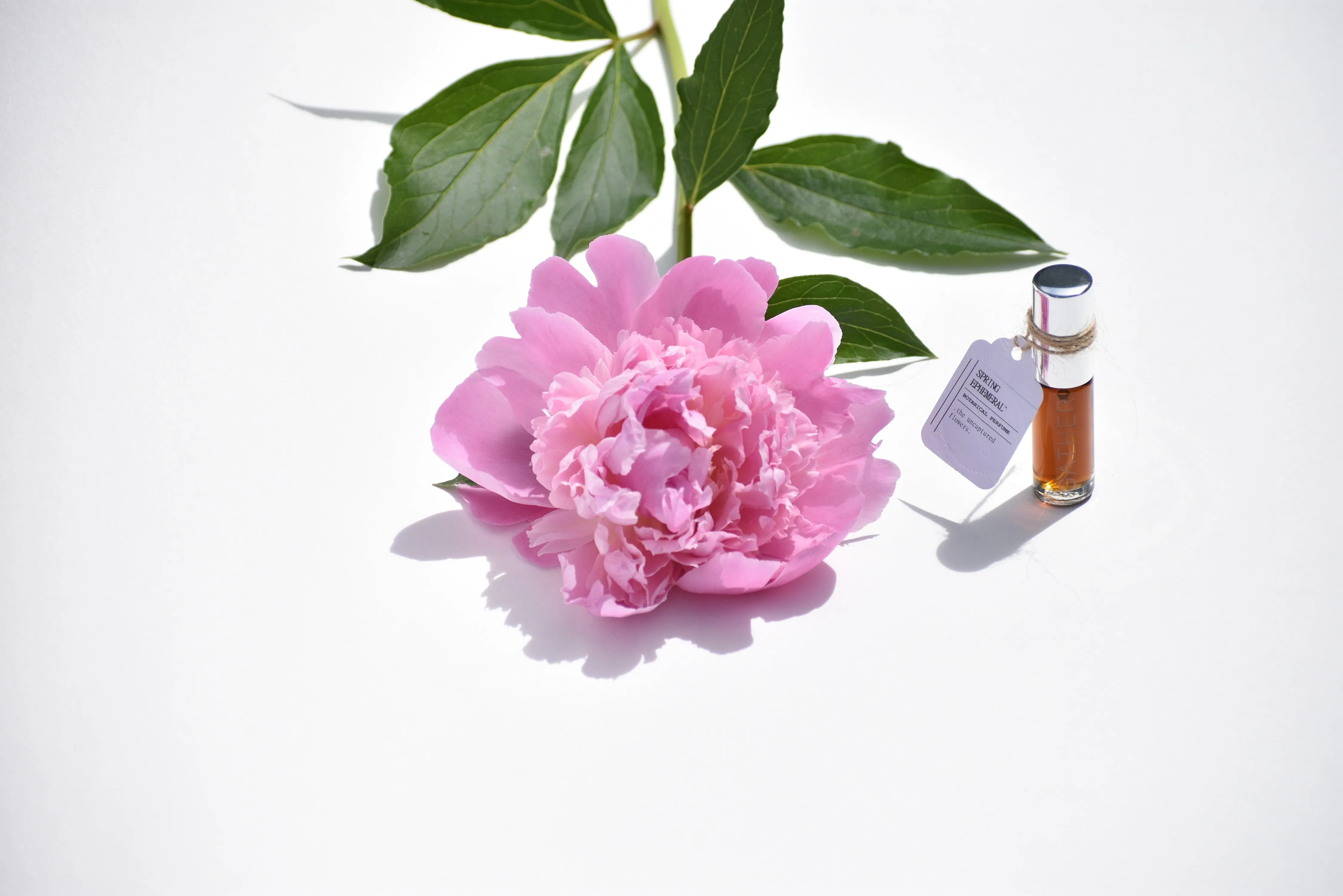 SPRING EPHEMERAL - The Uncaptured Flowers - Natural Botanical Perfume
