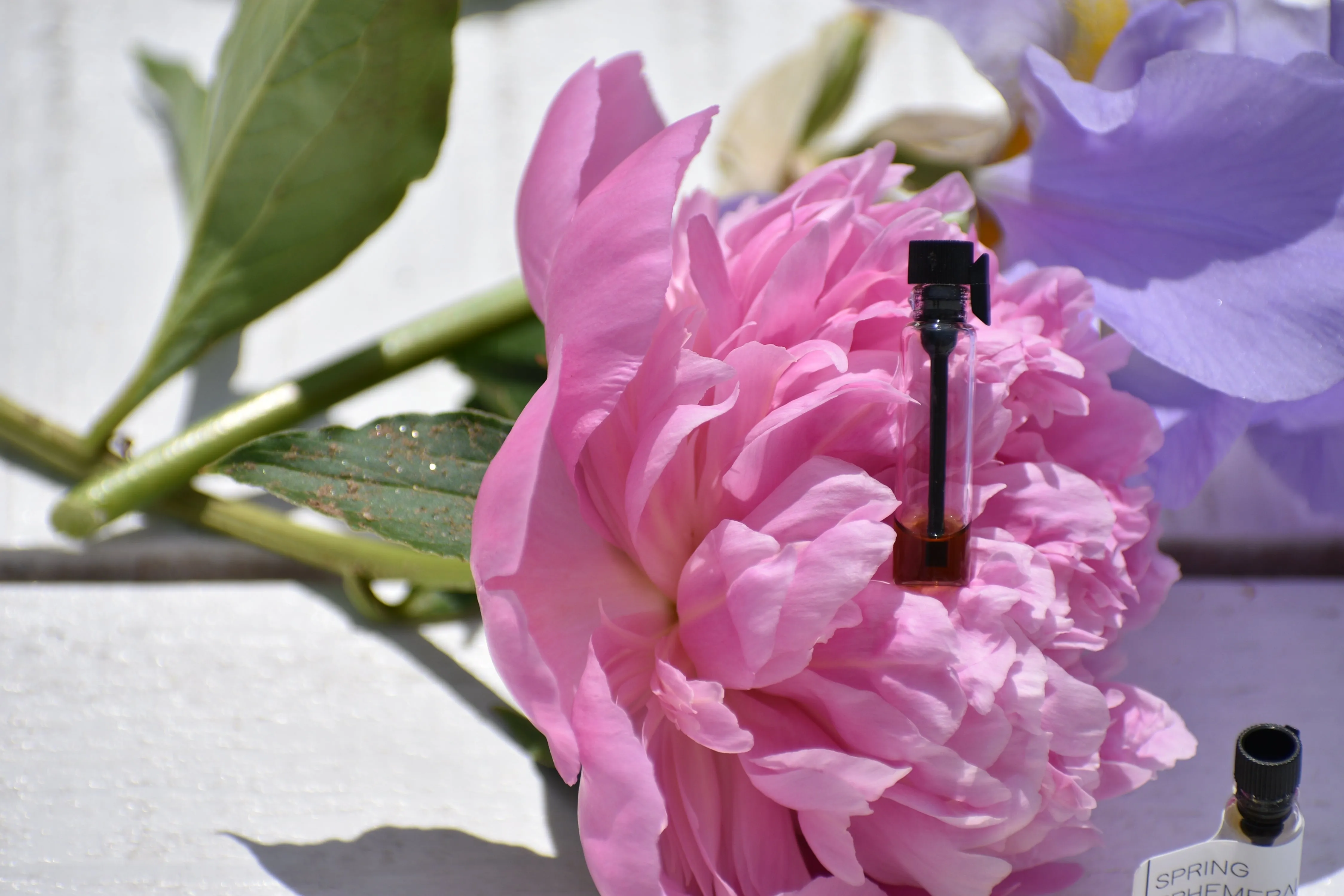 SPRING EPHEMERAL - The Uncaptured Flowers - Natural Botanical Perfume