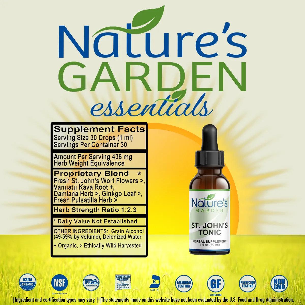 St. John's Tonic//Mood-Aid Liquid Extract 1 oz