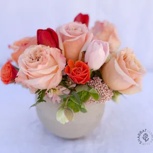 sun-kissed blush 5.5'