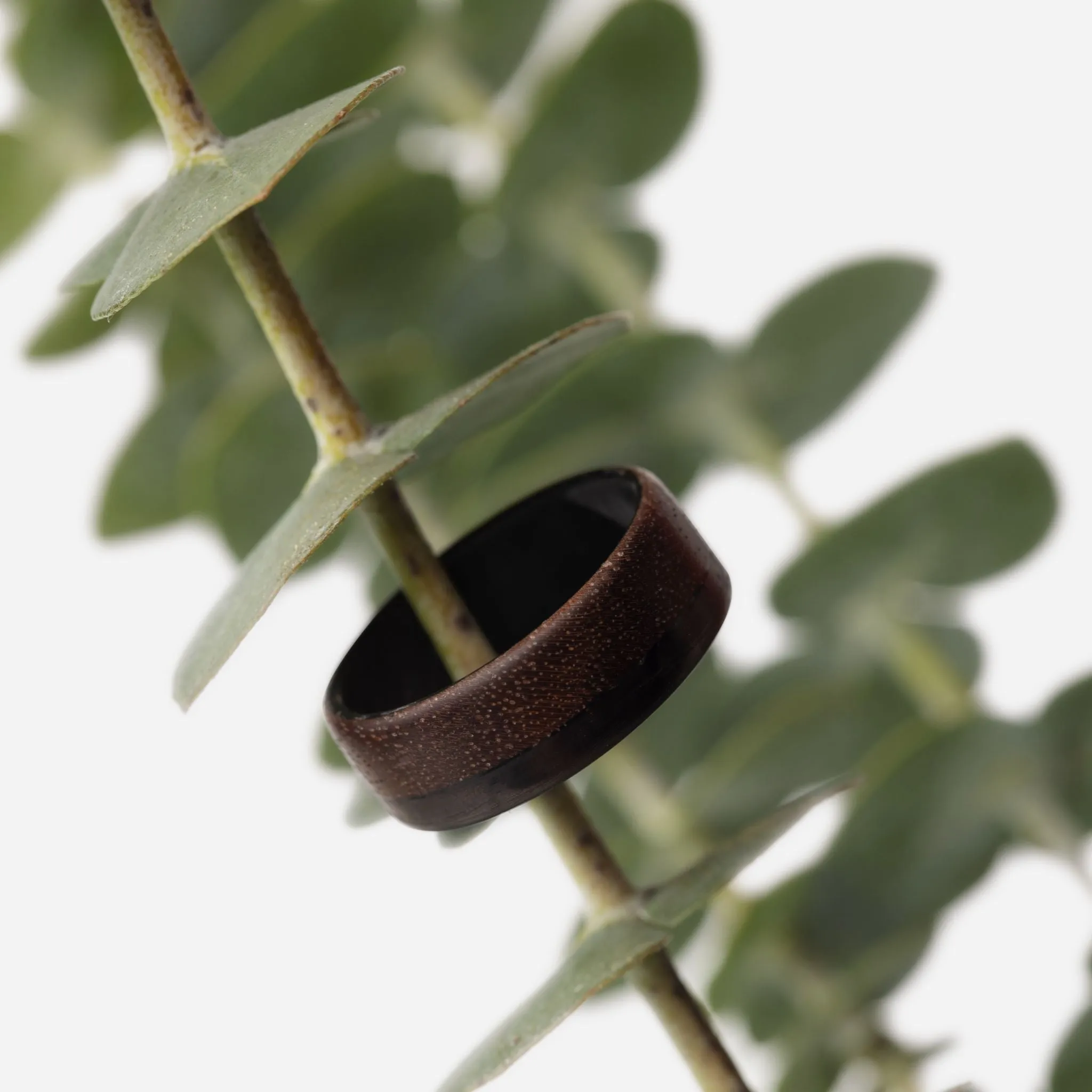 The Offset Walnut