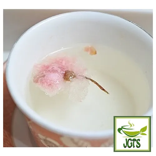 Ujien Sakura Tea (Seasonal)