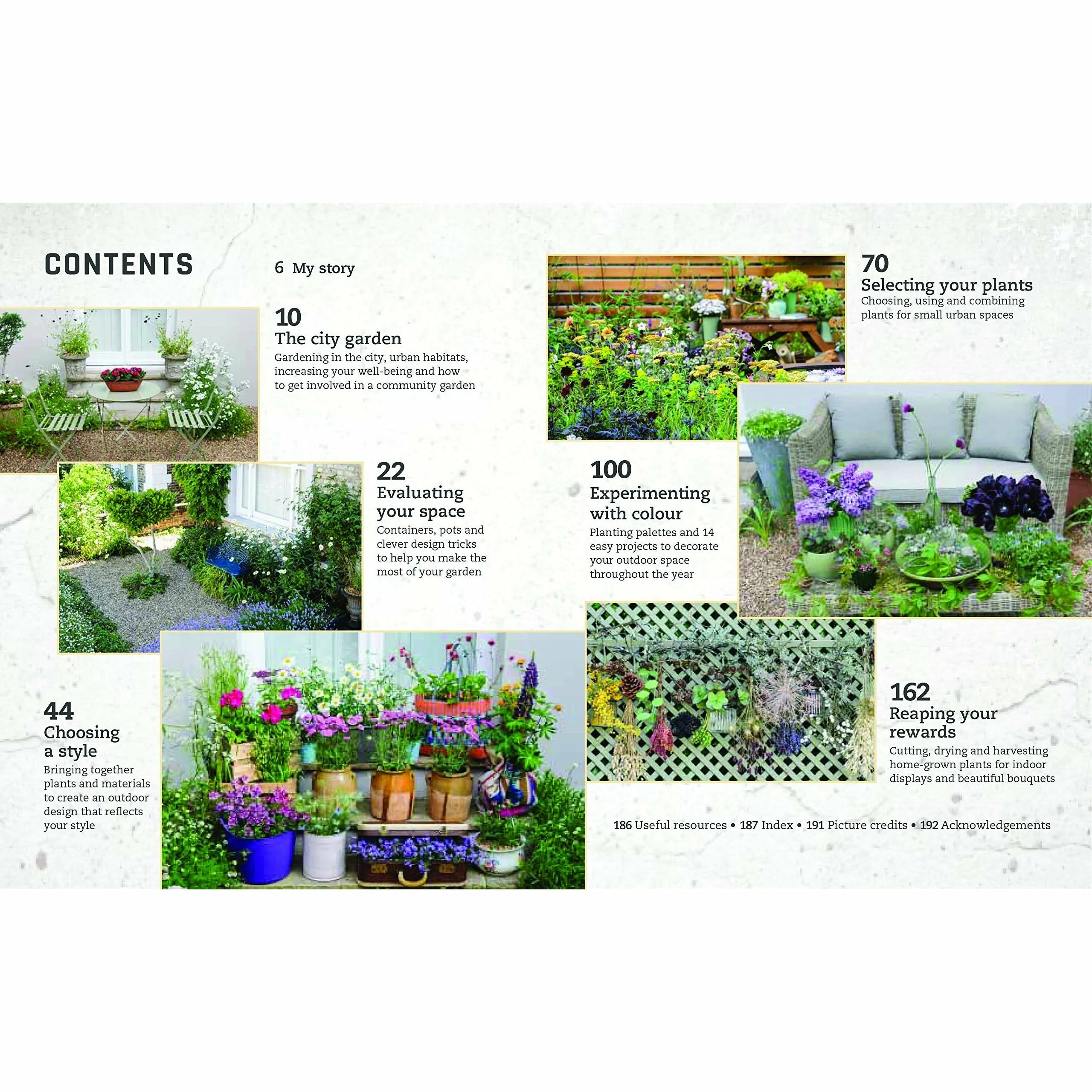 Urban Flowers: Creating abundance in a small city garden