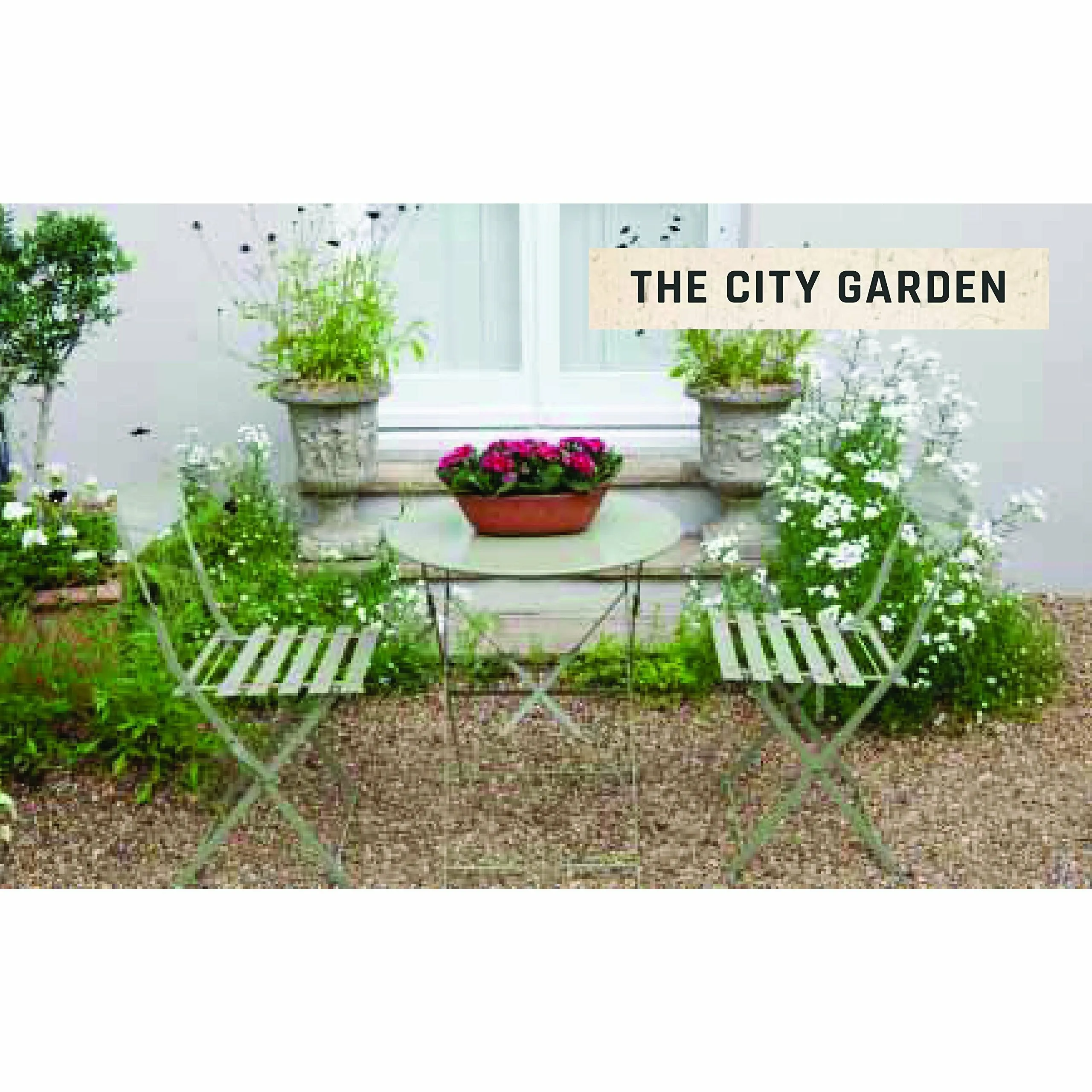 Urban Flowers: Creating abundance in a small city garden