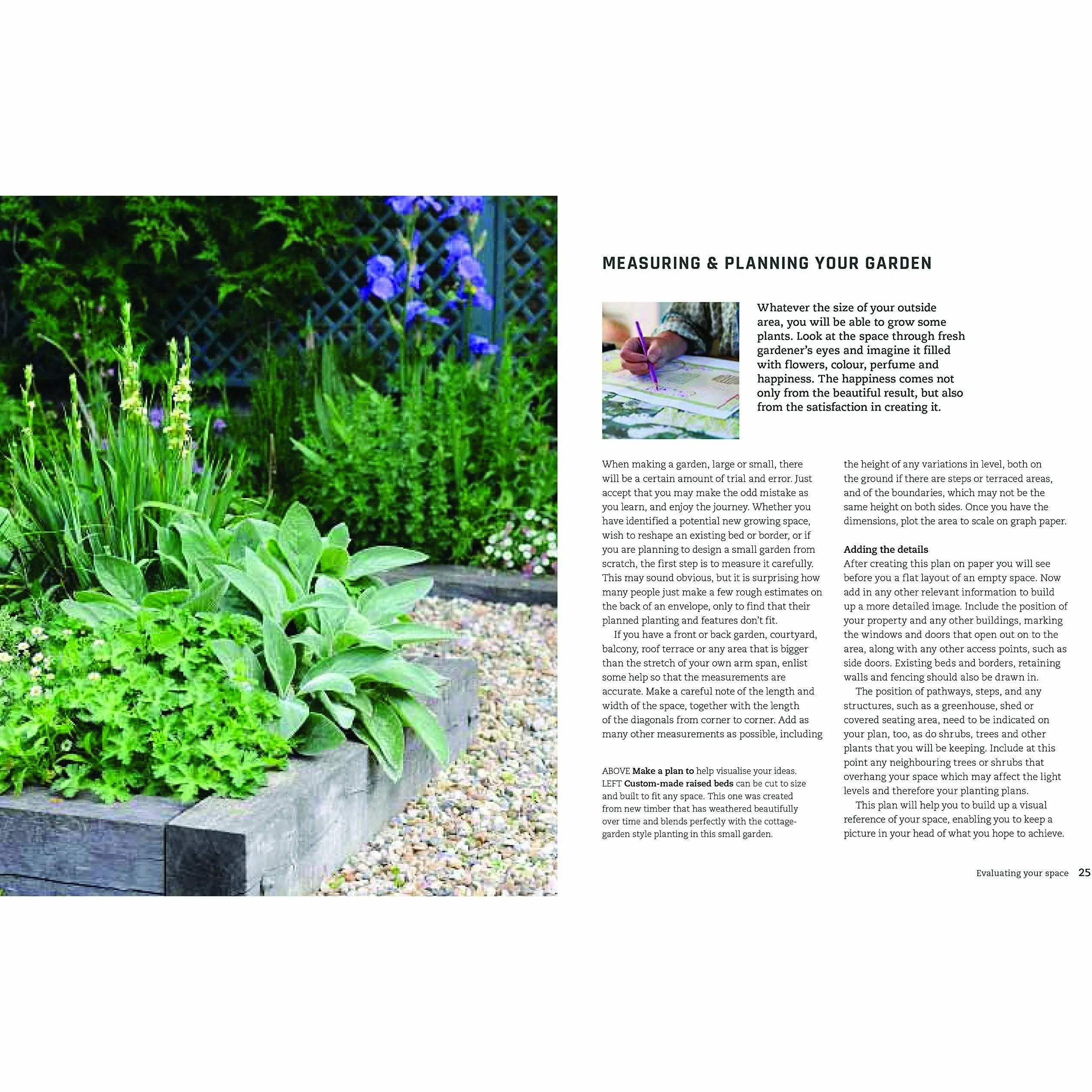 Urban Flowers: Creating abundance in a small city garden
