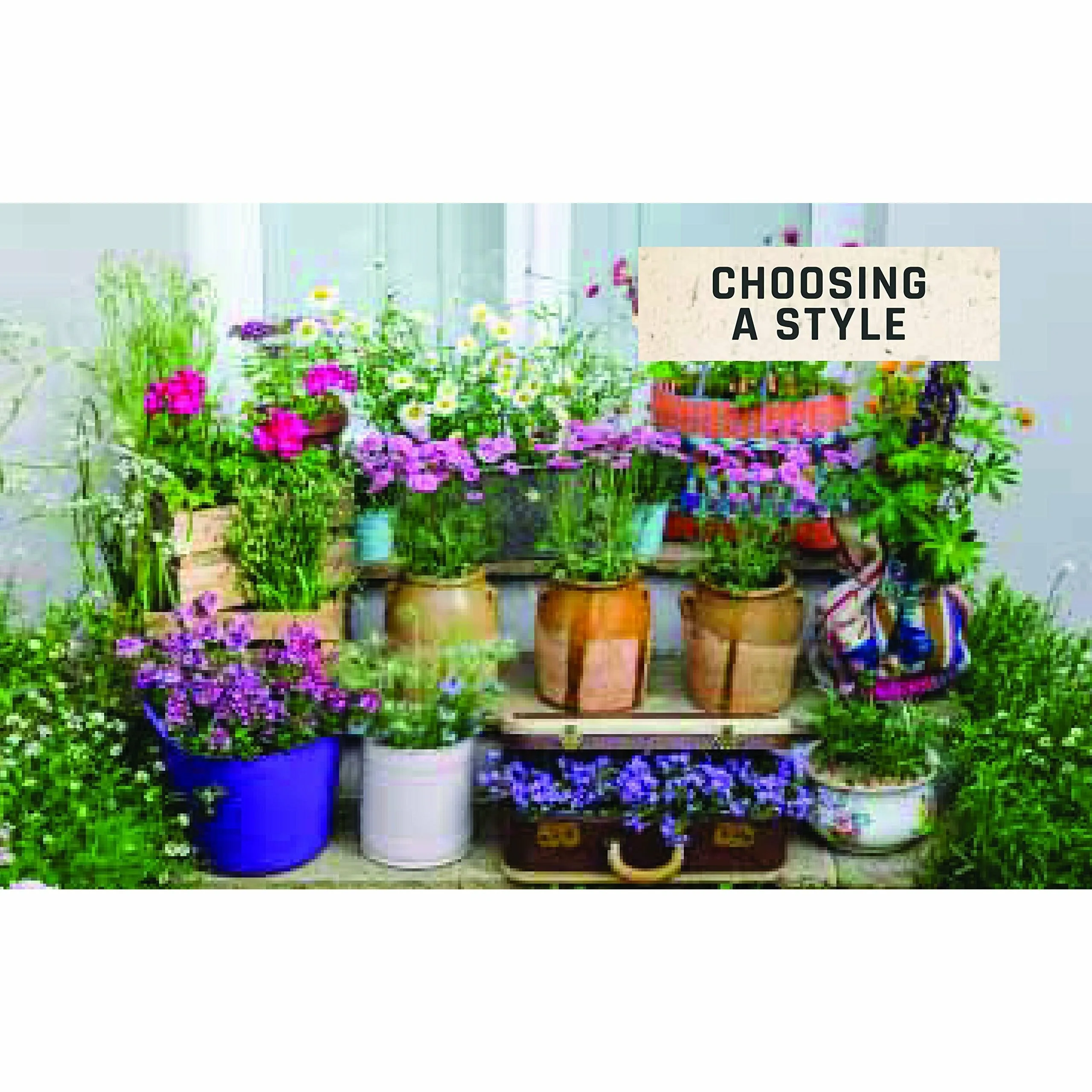 Urban Flowers: Creating abundance in a small city garden