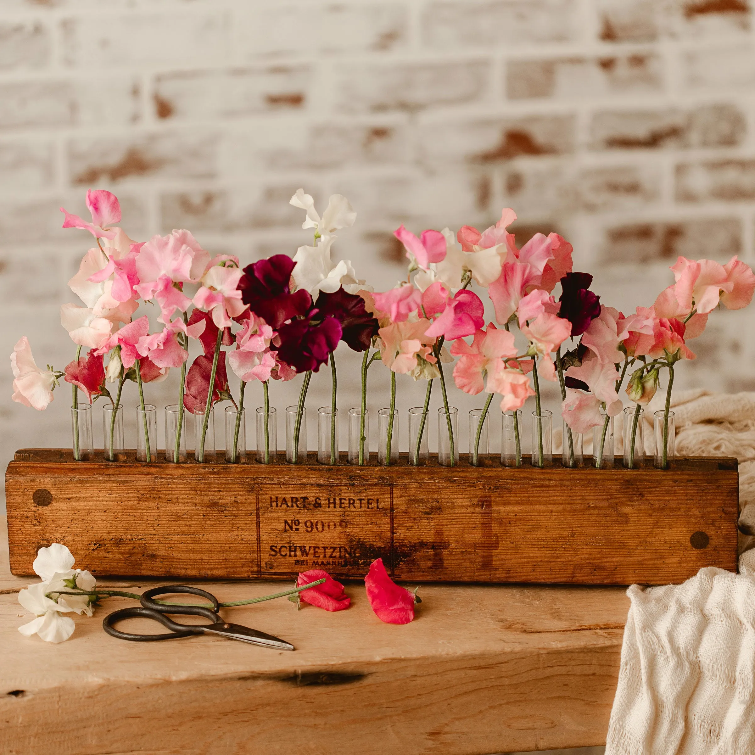 Vintage Cigar Press Flower Vase