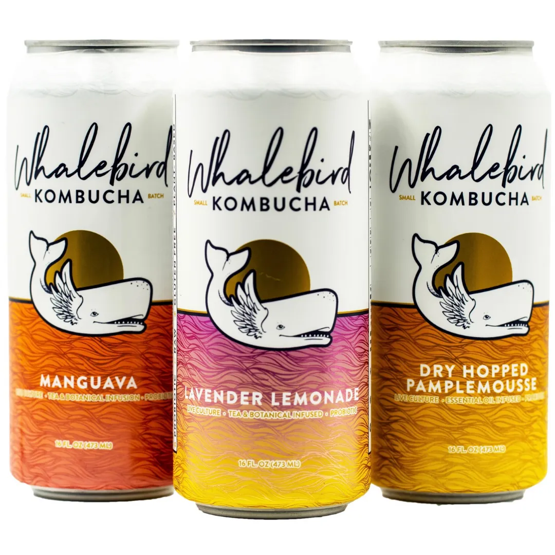 Wholesale Cans: Classic Kombucha Variety Case 36/CS