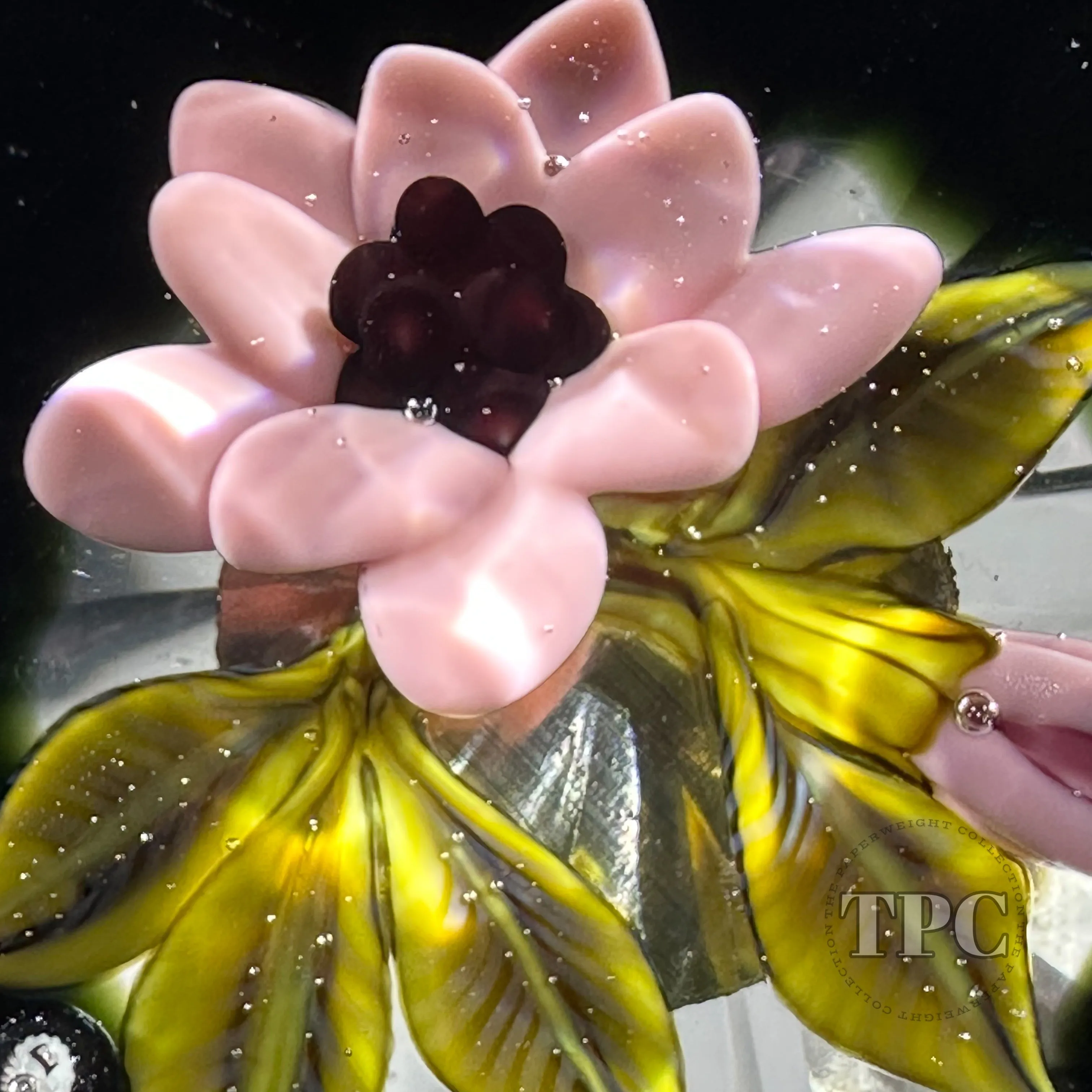 William Manson 2023 Art Glass Paperweight Flamework Mauve Colored Flower Bouquet with Fancy Cut Faceting