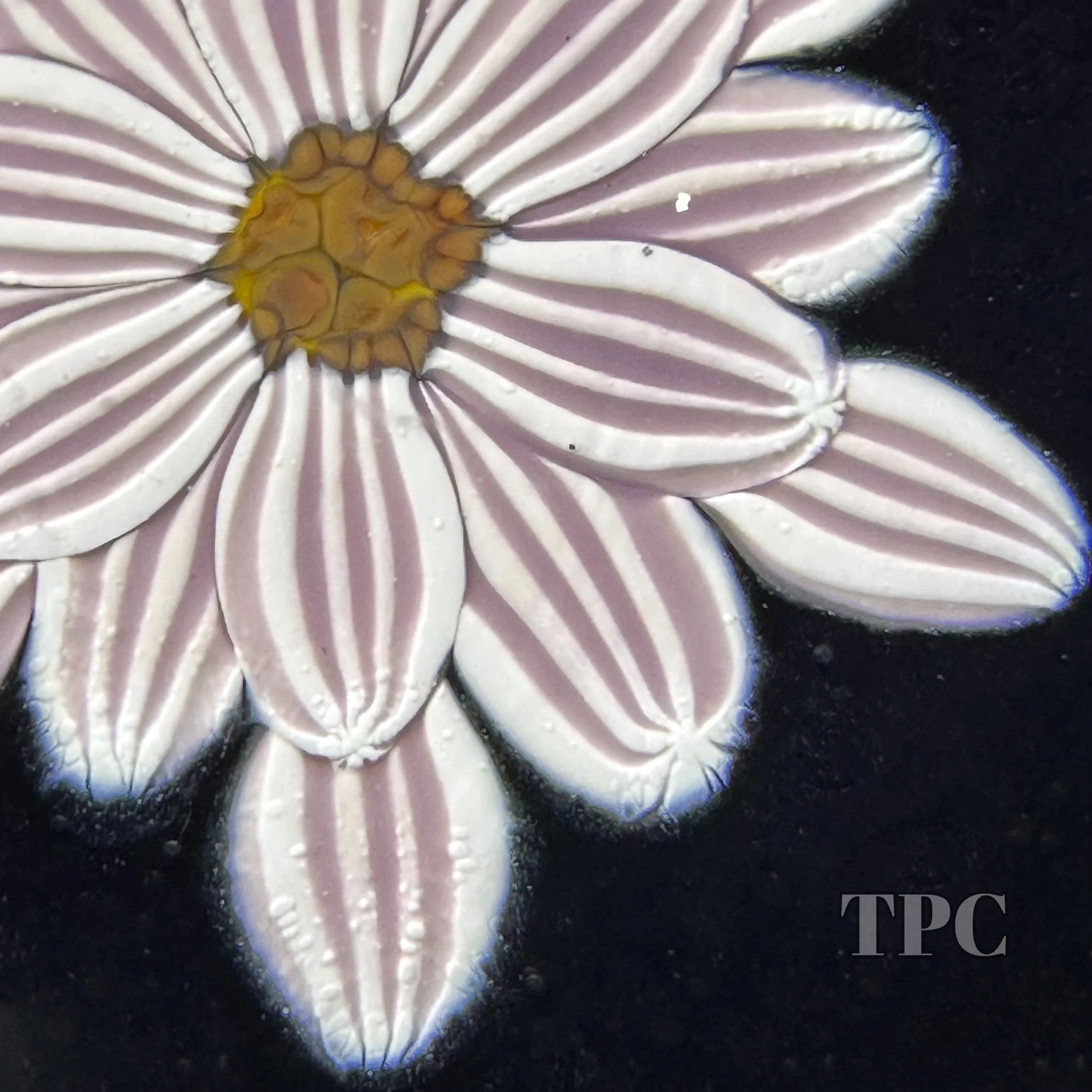 William Manson 2023 Art Glass Paperweight Flamework Striped Pink Clematis on Black Ground