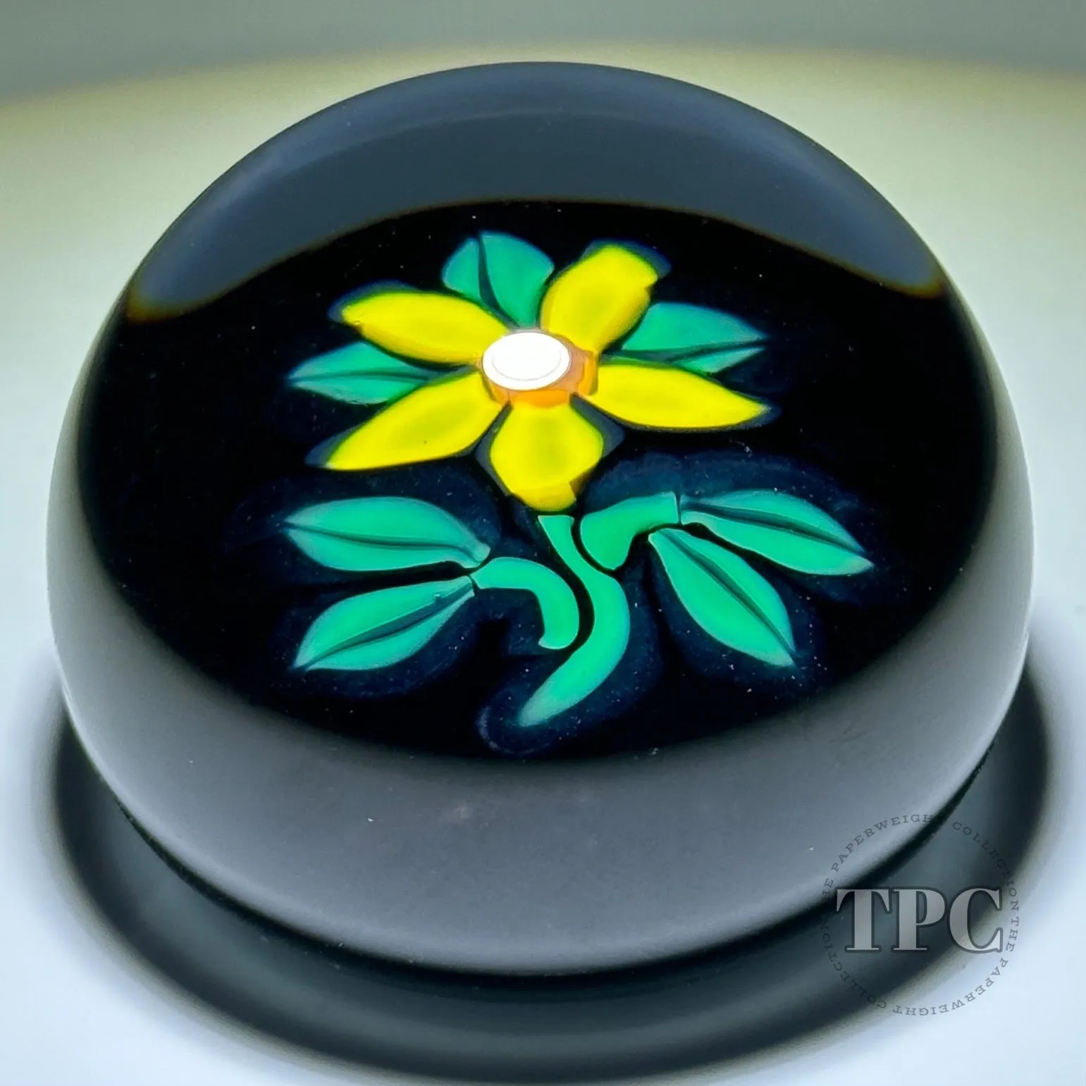 William Manson 2023 Art Glass Paperweight Flamework Yellow Daisy on Dark Ground
