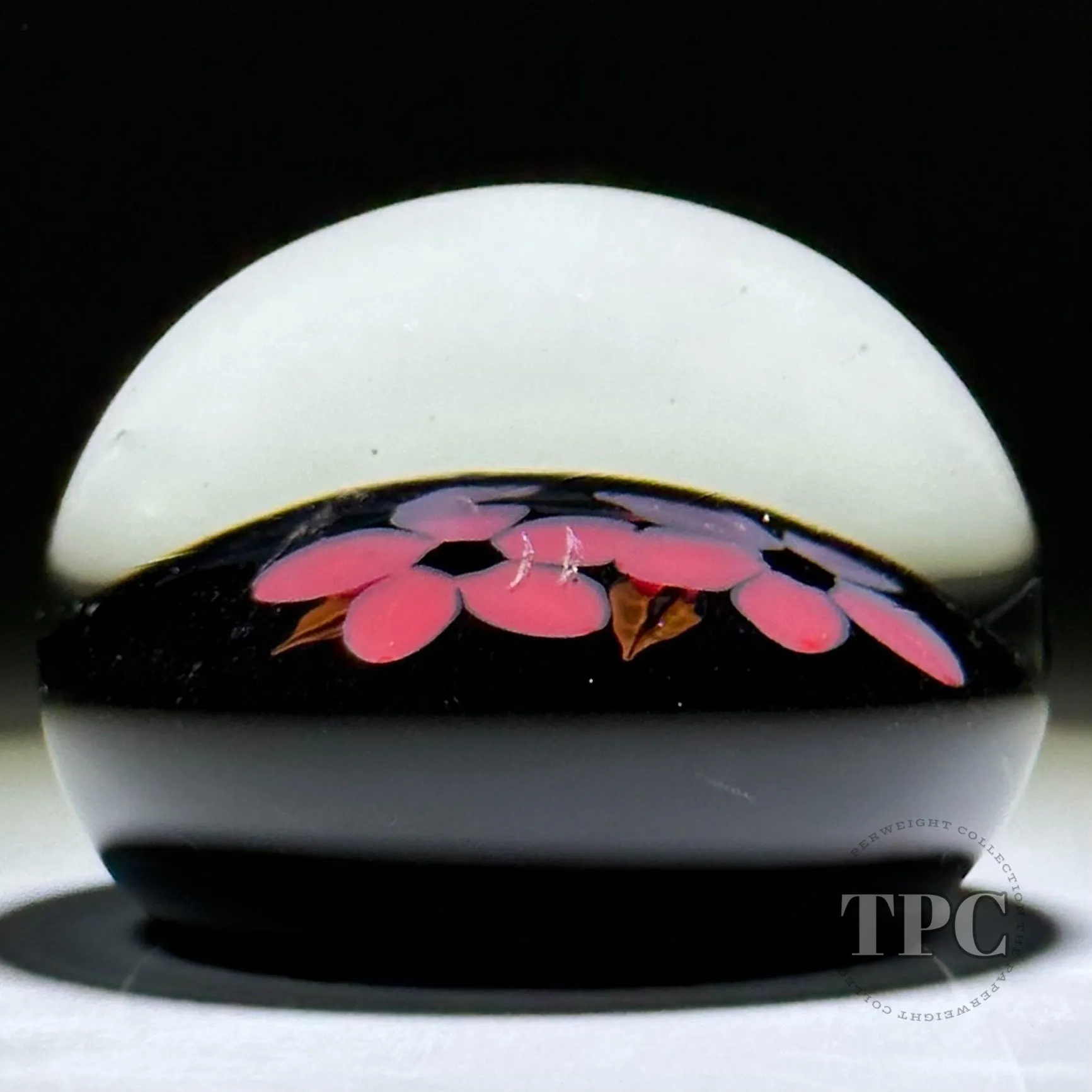 William Manson 2023 Miniature Art Glass Paperweight Flamework flowers on Black Ground