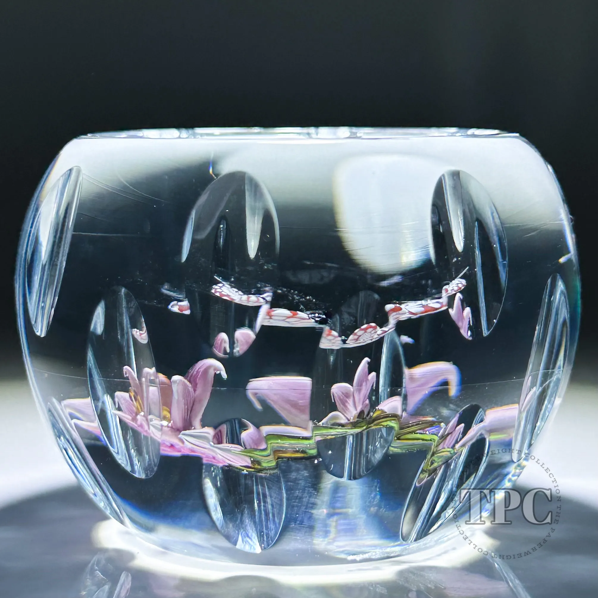William Manson 2024 Art Glass Paperweight Compound Flamework Butterfly with Pink Flowers 1 of 1