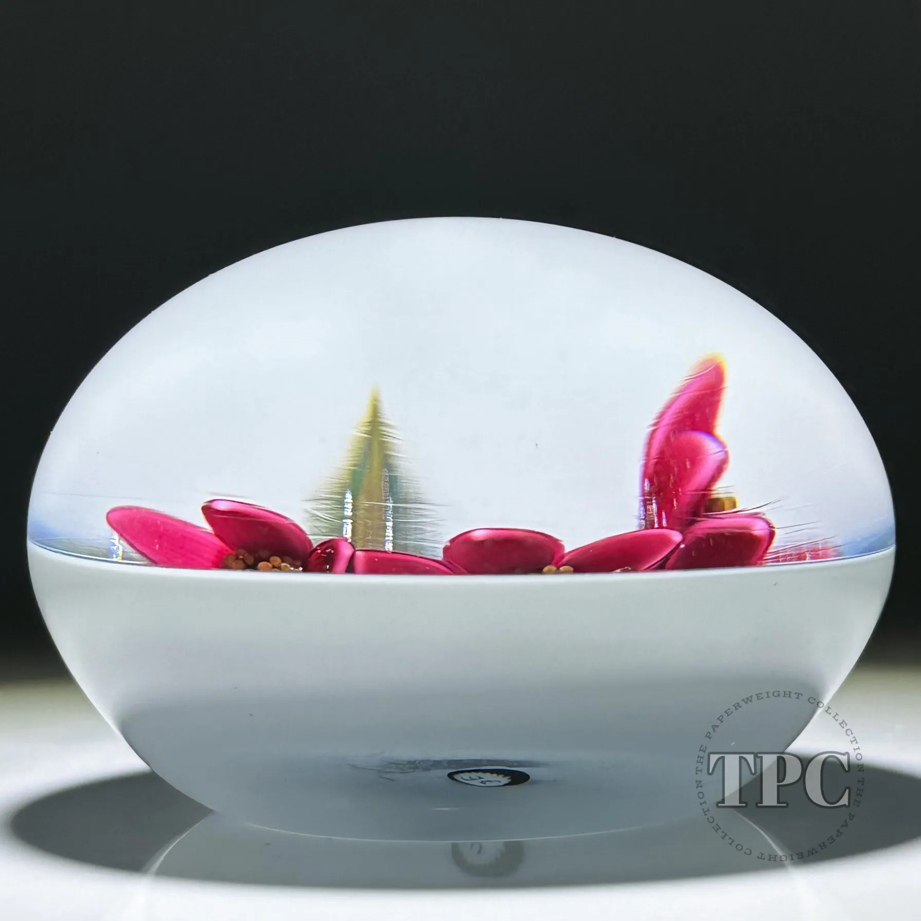 William Manson 2024 Glass Art Paperweight  Flamework on Opaque White Ground 1 of 1