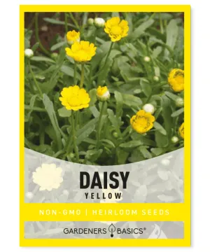 Yellow Daisy Seeds