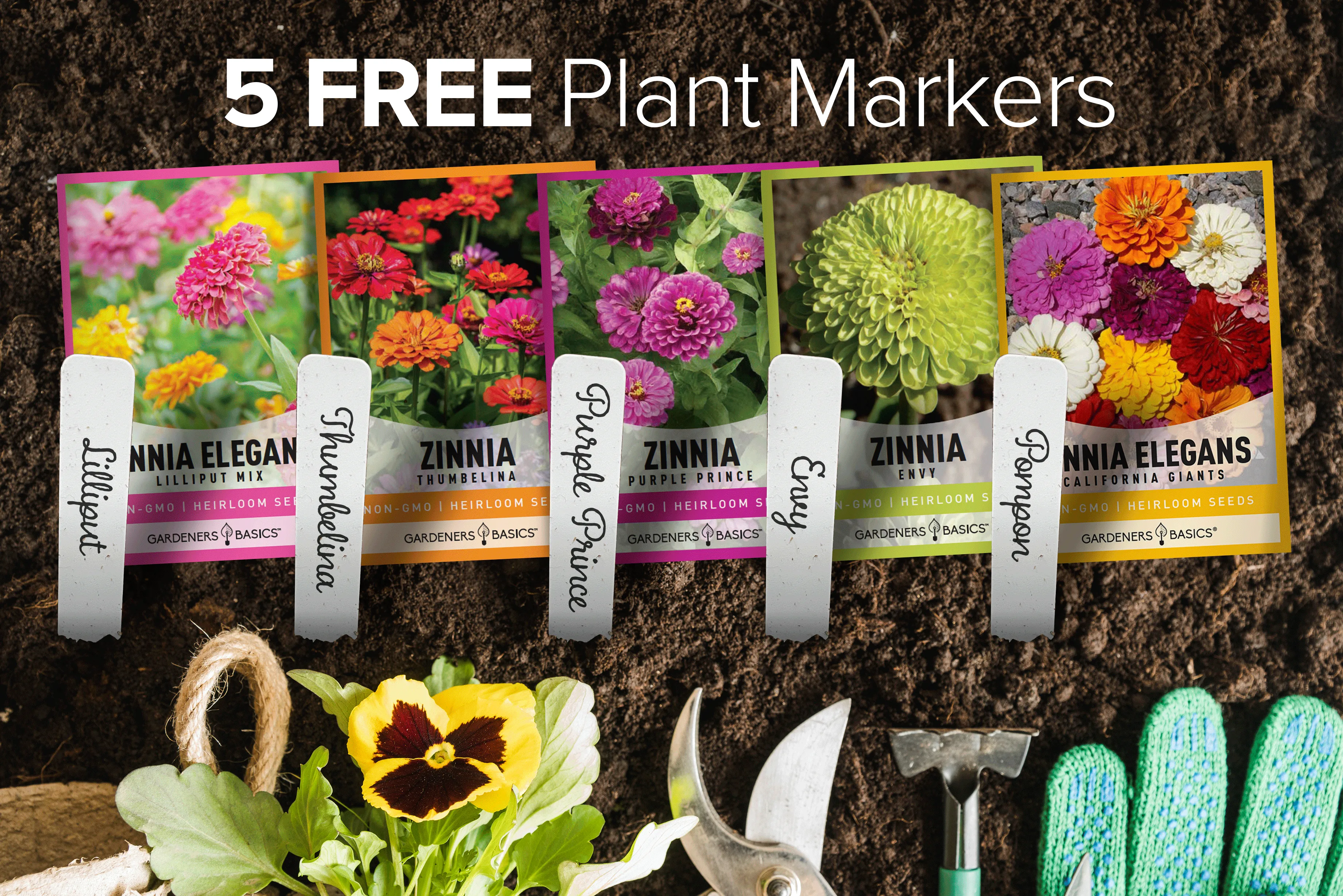 Zinnia Seeds for Outdoor Planting | 5 Variety Pack